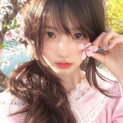 高速路上一只猫